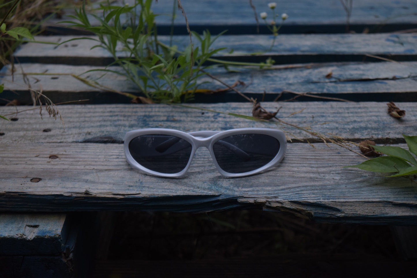 Silver Sunglasses
